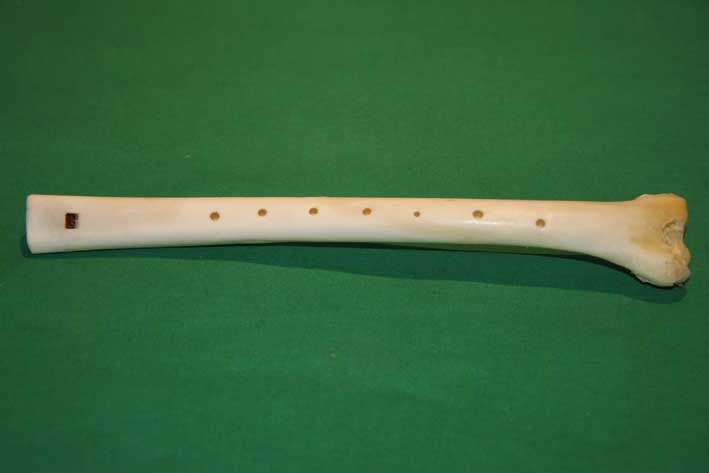 Knochenfl&ouml;te 7G