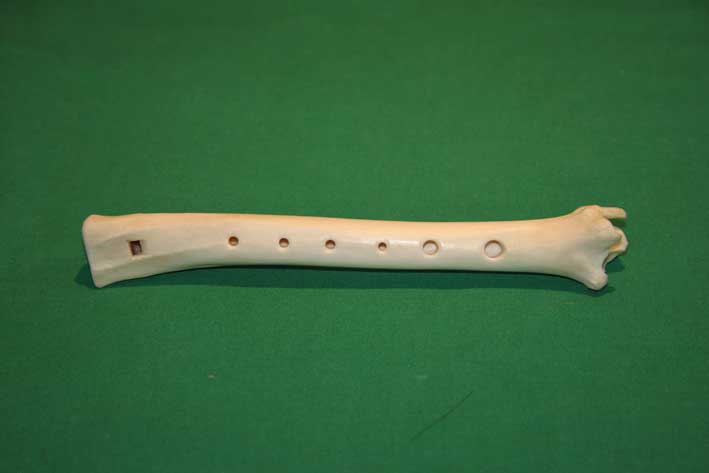 Knochenfl&ouml;te 8B