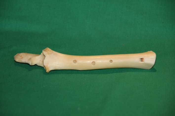 Knochenfl&ouml;te 9A