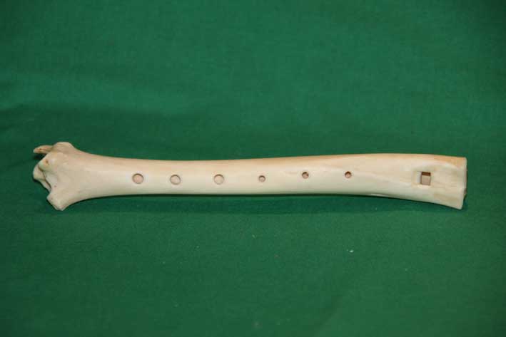 Knochenfl&ouml;te 9D