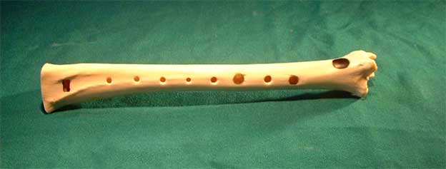 Knochenfl&ouml;te D3