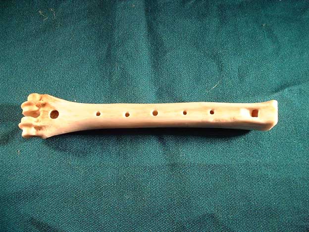 Knochenfl&ouml;te E5