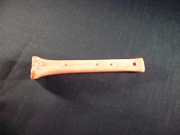 Knochenfl&ouml;te F1