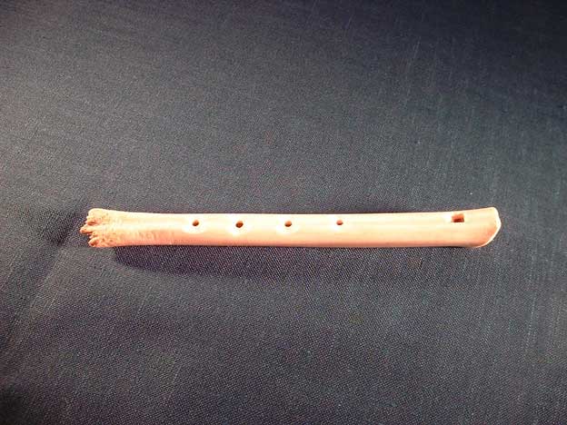 Knochenfl&ouml;te F2