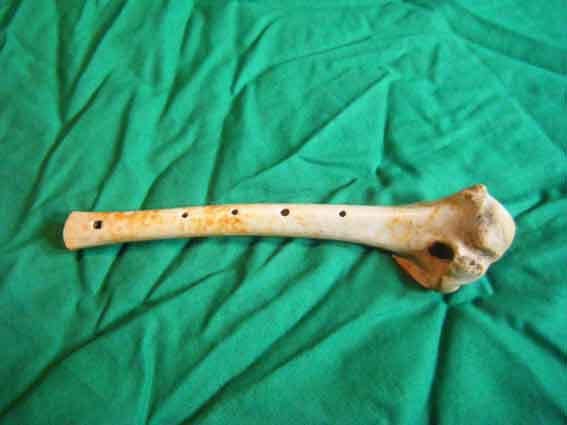 Knochenflöte N2