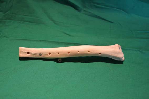 Knochenflöte Q6