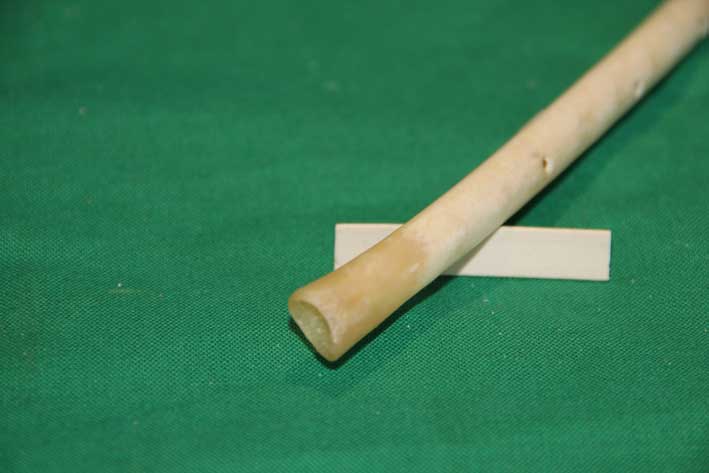 Replik 4, Mundst&uuml;ck