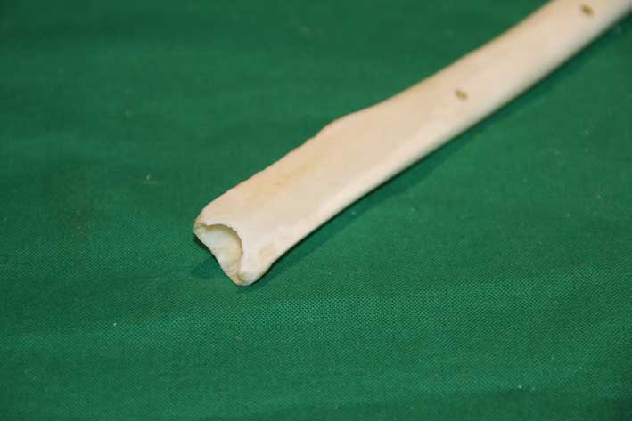 Replik 5, Mundst&uuml;ck