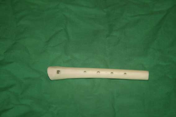 Knochenfl&ouml;te S2