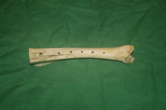 Knochenfl&ouml;te S3