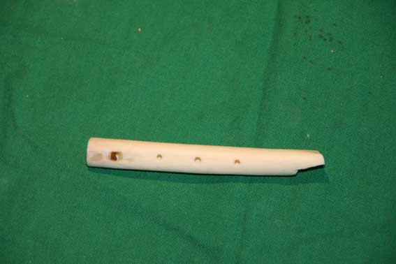 Knochenfl&ouml;te T1