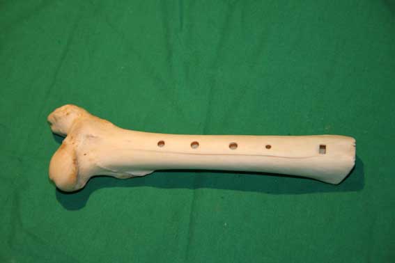 Knochenfl&ouml;te T6