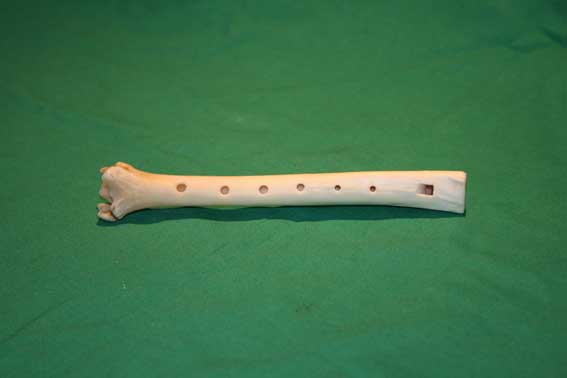 Knochenflöte U4