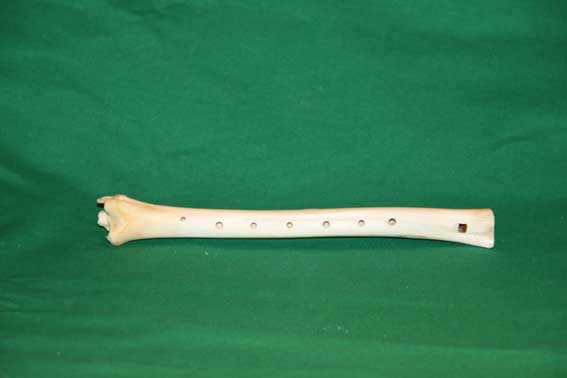 Knochenfl&ouml;te V6