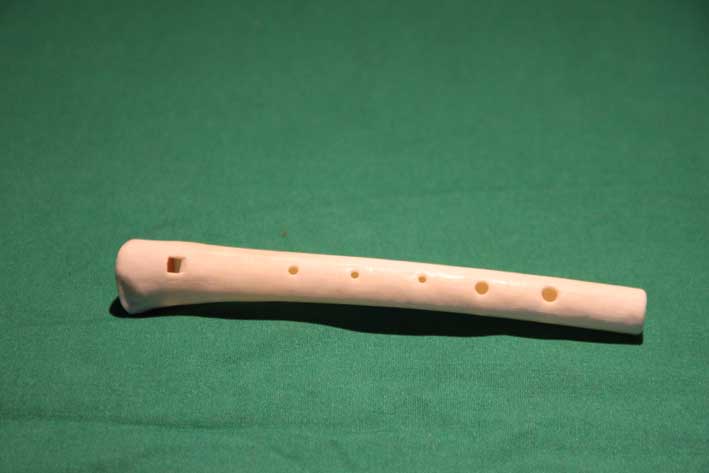 Knochenflöte Y2
