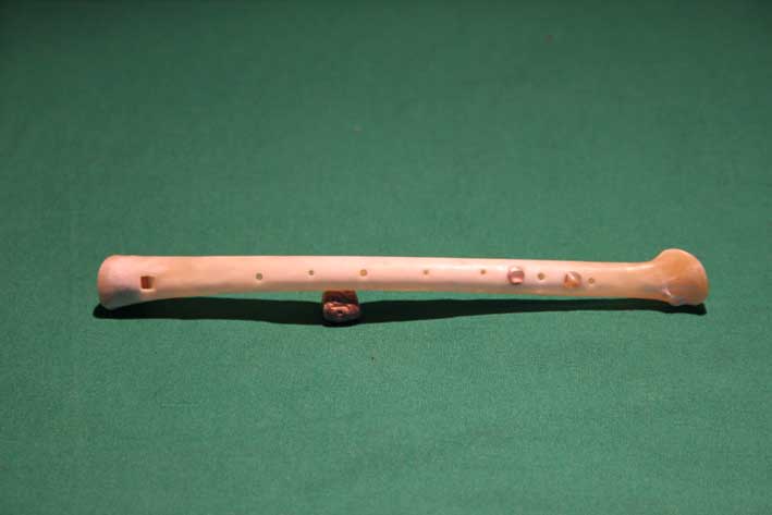 Knochenflöte Y3