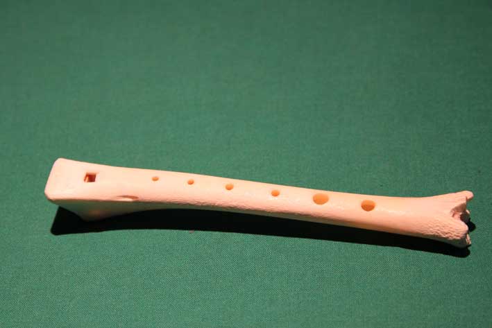 Knochenflöte Z5