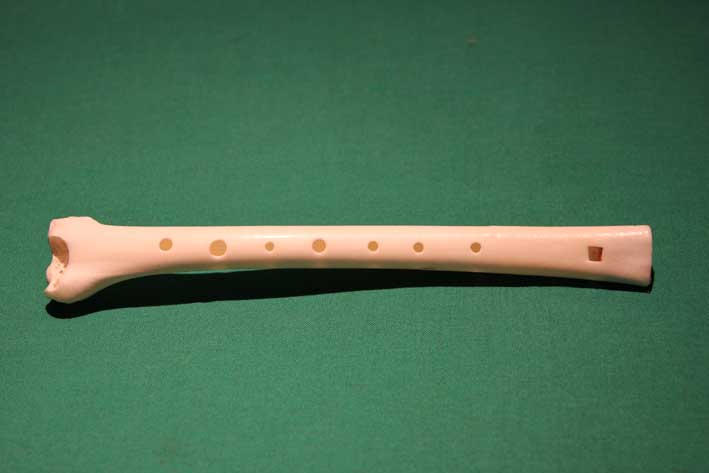 Knochenflöte Z6